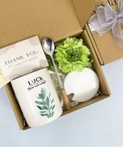 Set Quà Tặng An Nhiên Xanh Mát