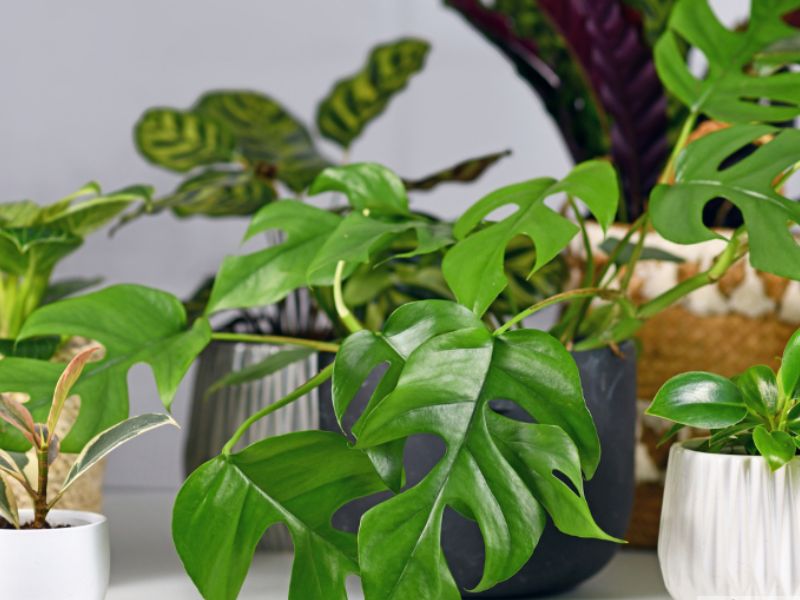 Một Số Gợi Ý Theo Đối Tượng Người Nhận