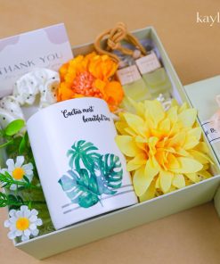 Set Quà Tặng Lá Nhỏ Mix Tinh Dầu Treo