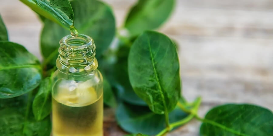 Xem thêm chi tiết 7 lợi ích vàng của tinh dầu tràm