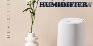 Xem thêm chi tiết cách sử dụng máy khuếch tán tinh dầu humidifier