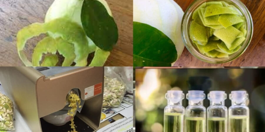Xem thêm chi tiết Cách làm tinh dầu bưởi bằng chưng cách thủy