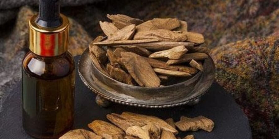Xem chi tiết cách sử dụng Tinh dầu trầm hương nguyên chất