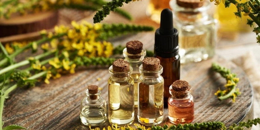 Xem thêm chi tiết tinh dầu cải thiện cảm giác dễ chịu trong không gian sống