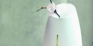 Xem thêm chi tiết có nên dùng máy khuếch tán tinh dầu