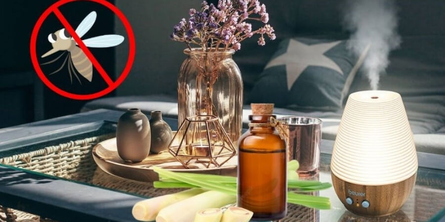 Xem chi tiết công dụng tinh dầu trong cuộc sống hàng ngày