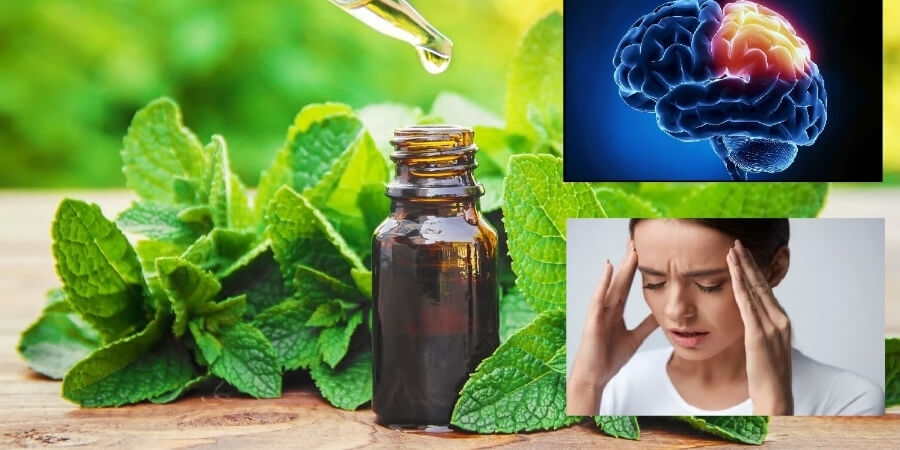 Xem chi tiết tinh dầu giảm triệu chứng buồn nôn
