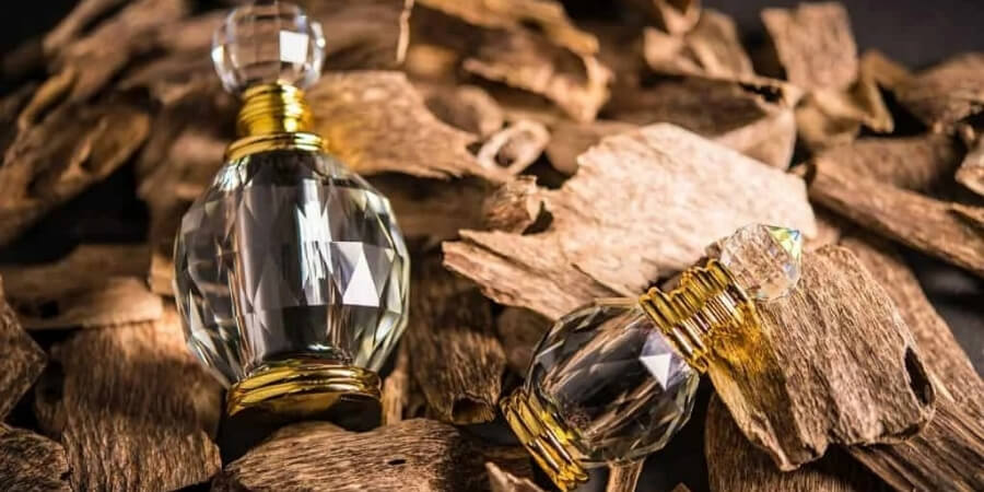 Xem chi tiết giúp giảm những cơn đau khớp