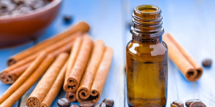 Xem thêm chi tiết Hướng dẫn sử dụng tinh dầu quế đúng cách, an toàn và hiệu quả