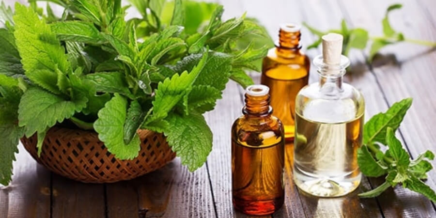 Xem thêm chi tiết Không sử dụng tinh dầu bạc hà, sả, chanh, quế