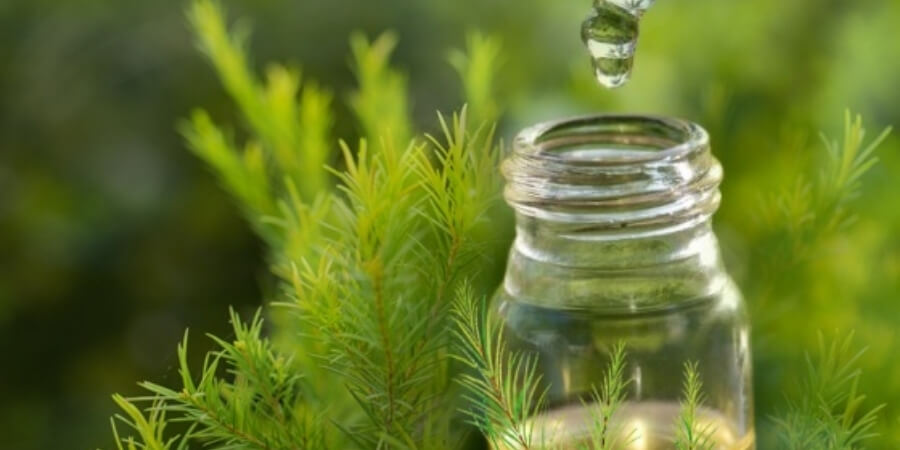 Xem thêm chi tiết Kiểm tra thử với nước