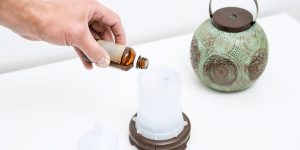 Xem thêm chi tiết có nên mua đèn xông tinh dầu hay máy khuếch tán