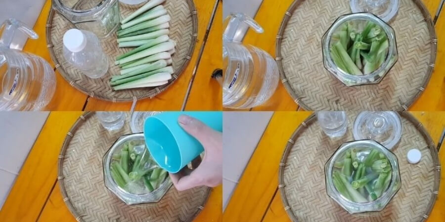 Xem thêm nguyên liệu làm tinh dầu sả thơm phòng