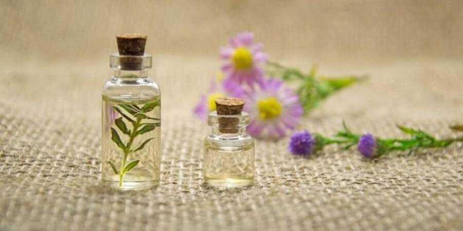 Xem thêm những lưu ý khi sử dụng tinh dầu thơm phòng