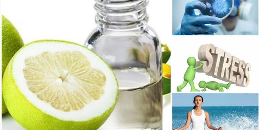 Xem chi tiết những tác dụng của tinh dầu bưởi thần kỳ, khiến bạn bất ngờ