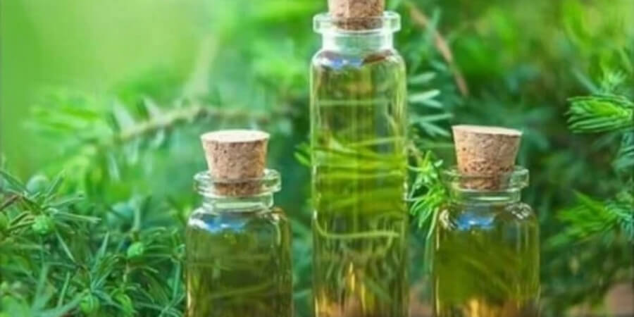 Xem thêm chi tiết Phận biết thông qua màu sắc