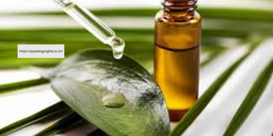 Xem thêm chi tiết Thông tin cơ bản về tinh dầu tràm