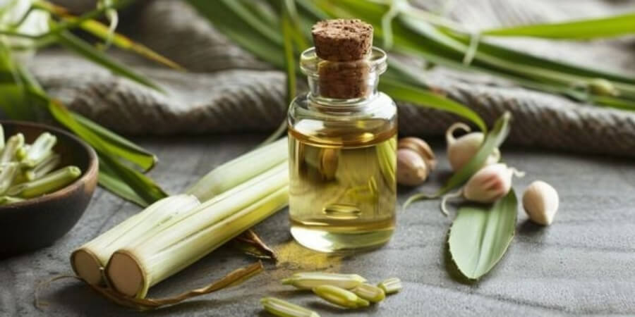 Xem chi tiết tinh dầu thư giãn, giảm căng thẳng