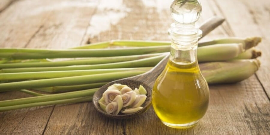 Xem chi tiết tinh dầu sả nguyên chất là gì?