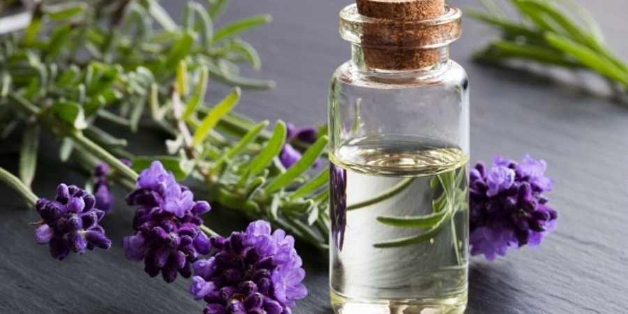 Xem thêm chi tiết tinh dầu oải hương