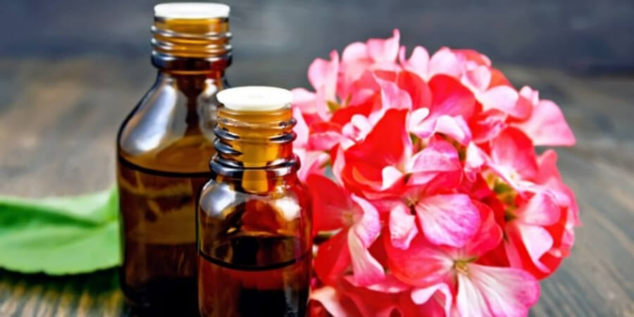 Xem thêm chi tiết Tinh dầu phong lữ
