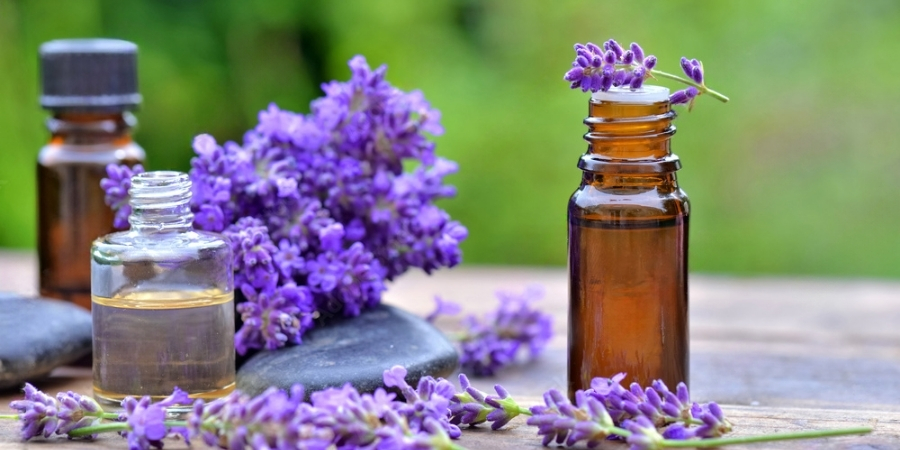 Xem thêm chi tiết tinh dầu xông phòng là gì? vì sao lại trở thành xu hướng