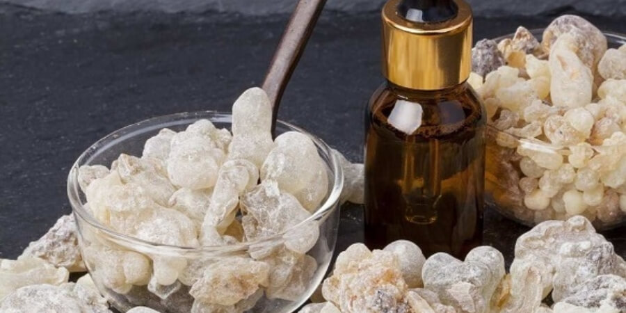 Xem chi tiết ức chế tế bào ung thư phát triển