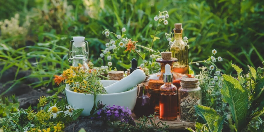 Xem thêm tinh dầu khuếch tán thơm phòng có độc không