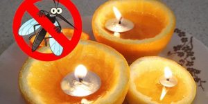 Xem thêm chi tiết cách làm nến thơm đuổi muỗi