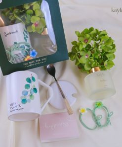 Set Quà Tặng Tinh Dầu Solibre Êm Mát